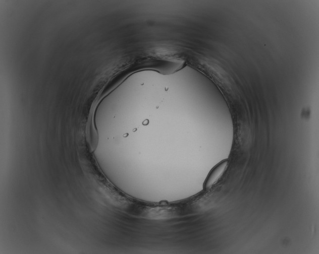 X0000092240461200710051242