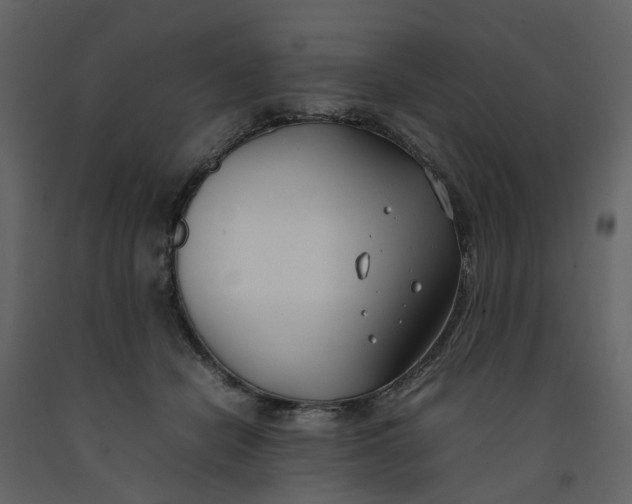 X0000092240462200710051242