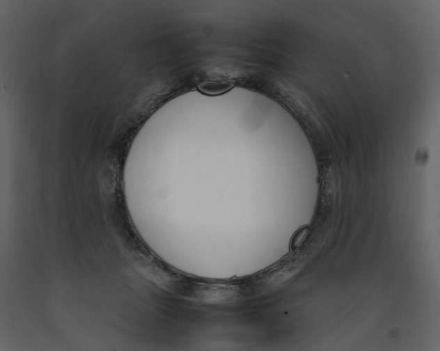 X0000092240463200710051242