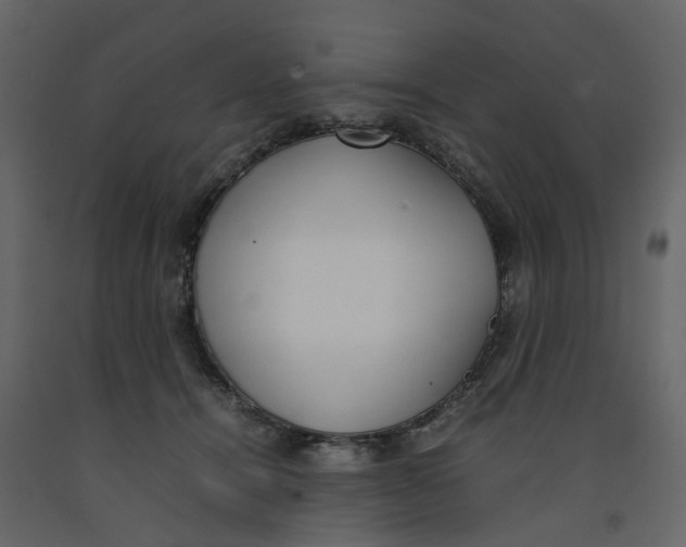 X0000092240464200710051242