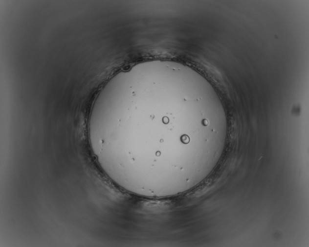 X0000092240465200710051242