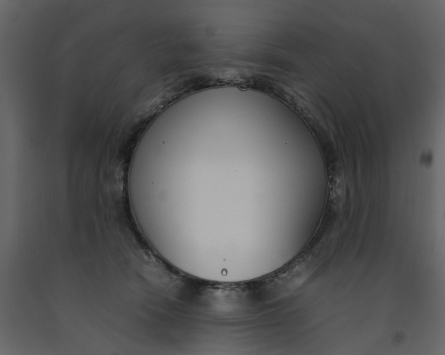 X0000092240466200710051242