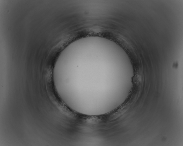 X0000092240468200710051242