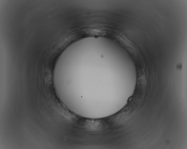 X0000092240469200710051242