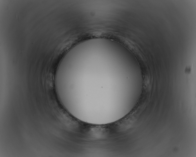 X0000092240470200710051242