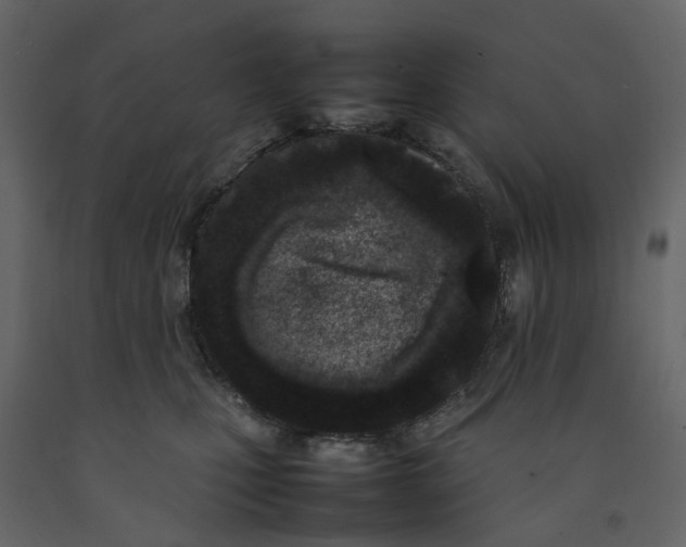 X0000092240471200710051242