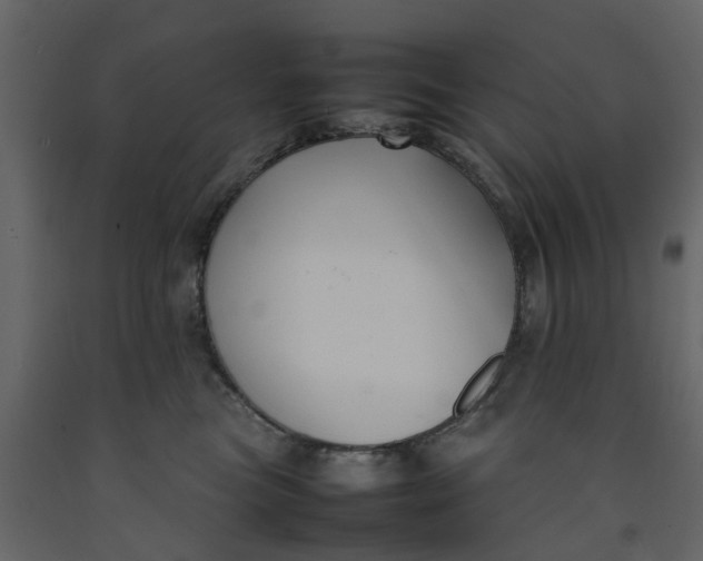 X0000092240473200710051242