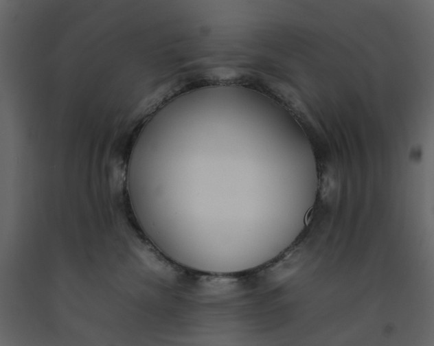 X0000092240476200710051242