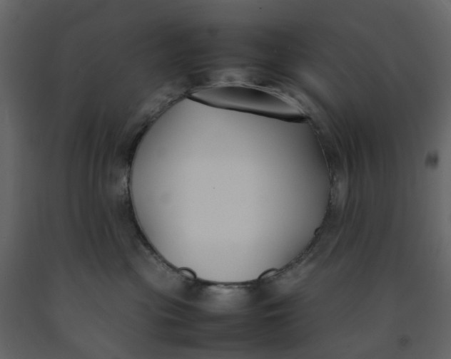 X0000092240477200710051242