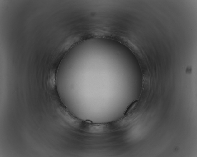 X0000092240479200710051242