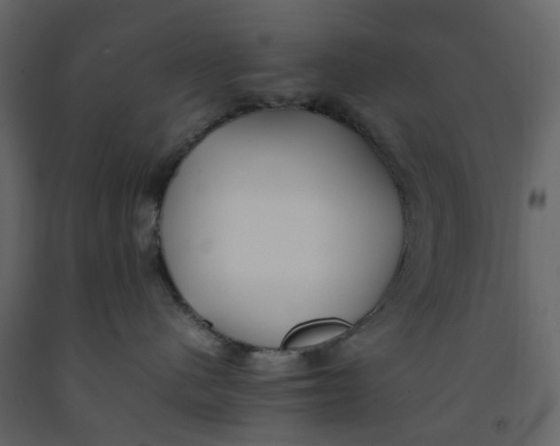 X0000092240480200710051242