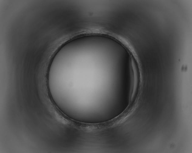 X0000092240481200710051242