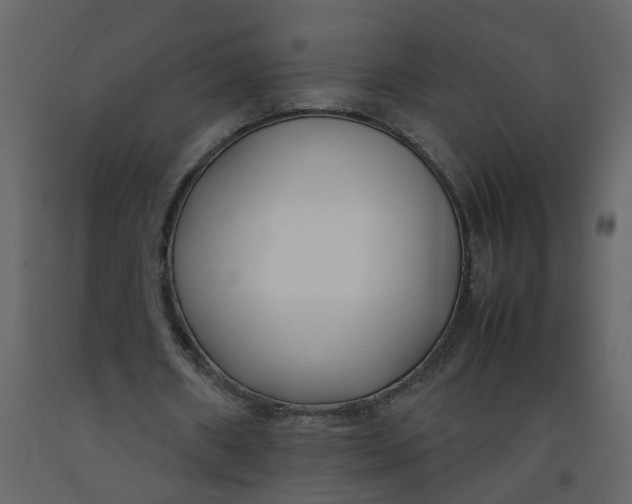 X0000092240482200710051242