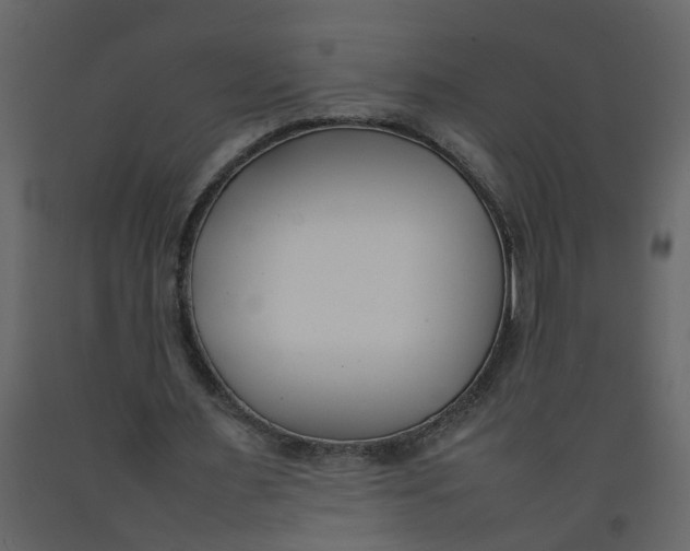 X0000092240483200710051242