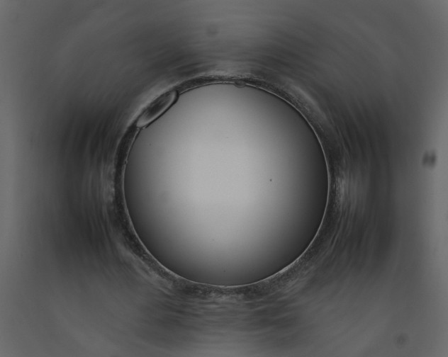 X0000092240484200710051242