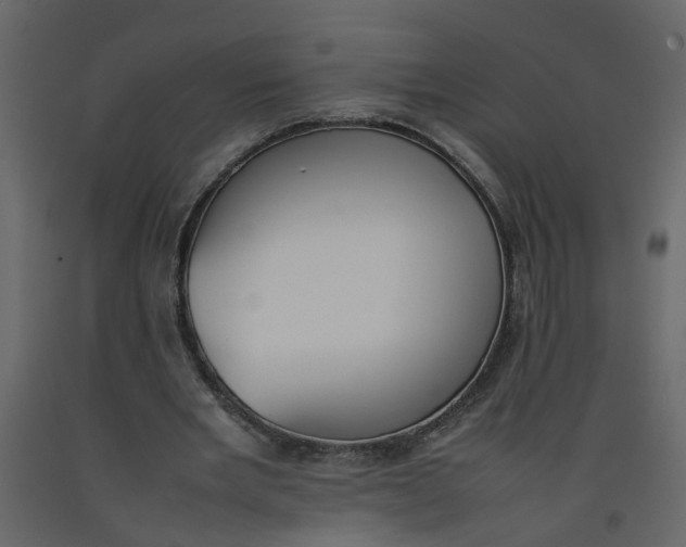 X0000092240485200710051242