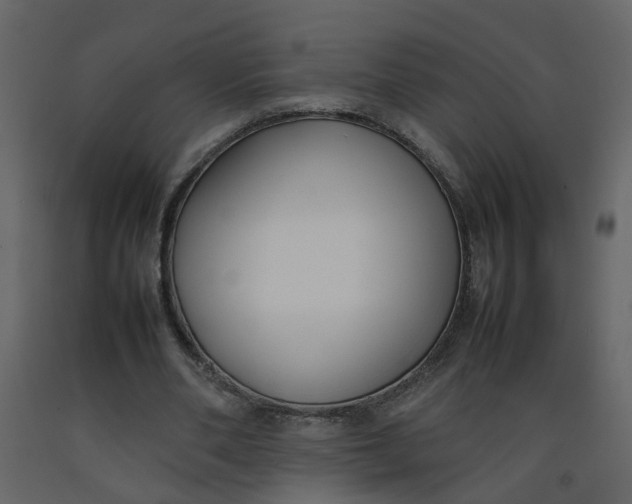 X0000092240486200710051242