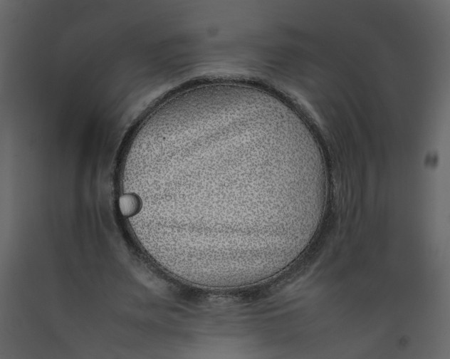 X0000092240487200710051242