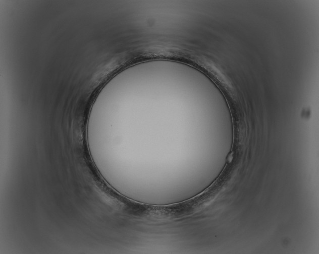 X0000092240489200710051241