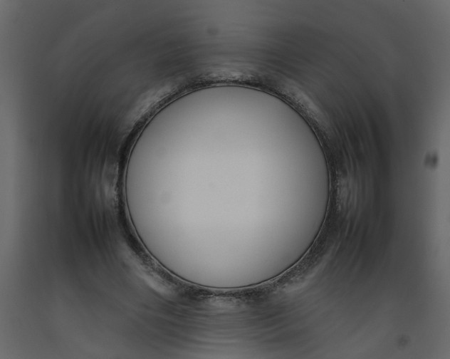 X0000092240490200710051241