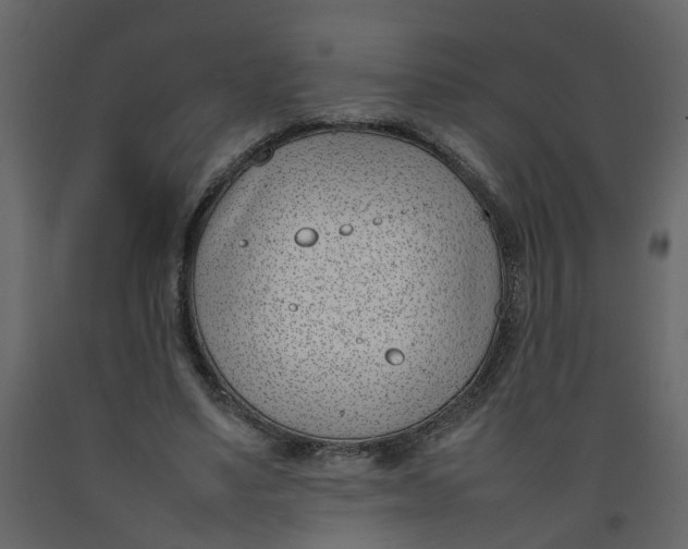 X0000092240491200710051241