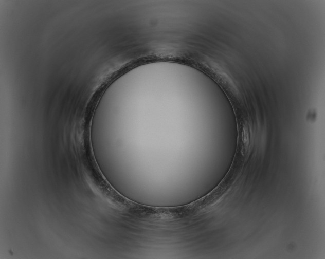 X0000092240492200710051241