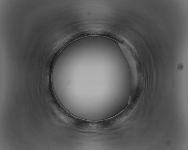 X0000092240493200710051241