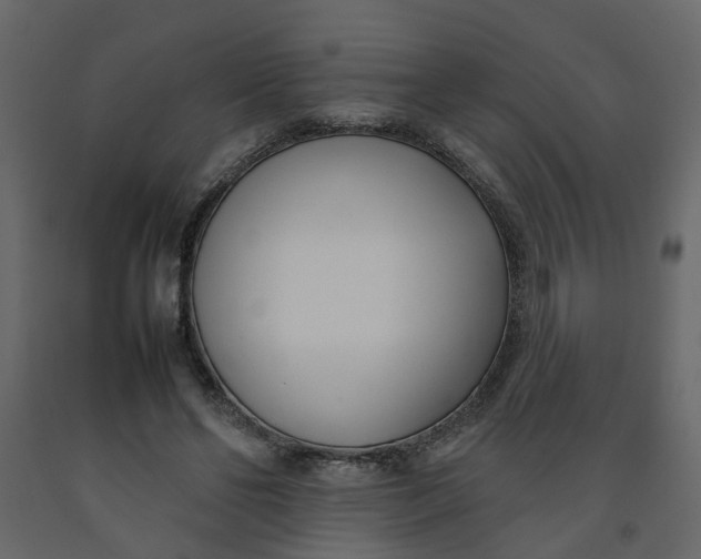 X0000092240494200710051241