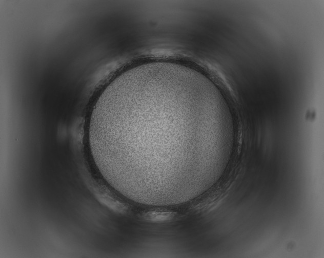 X0000092240495200710051241