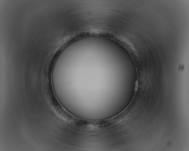 X0000092240496200710051241