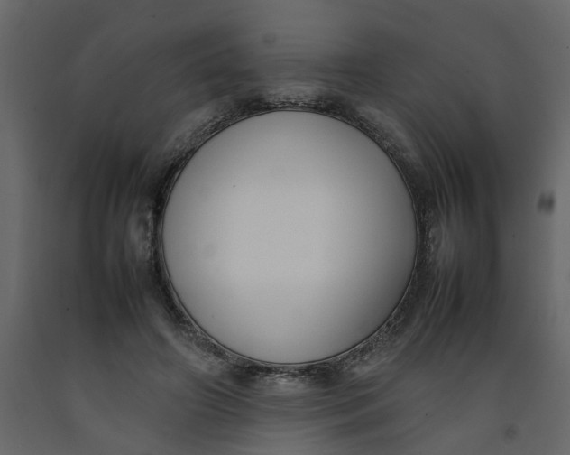 X0000092240498200710051241