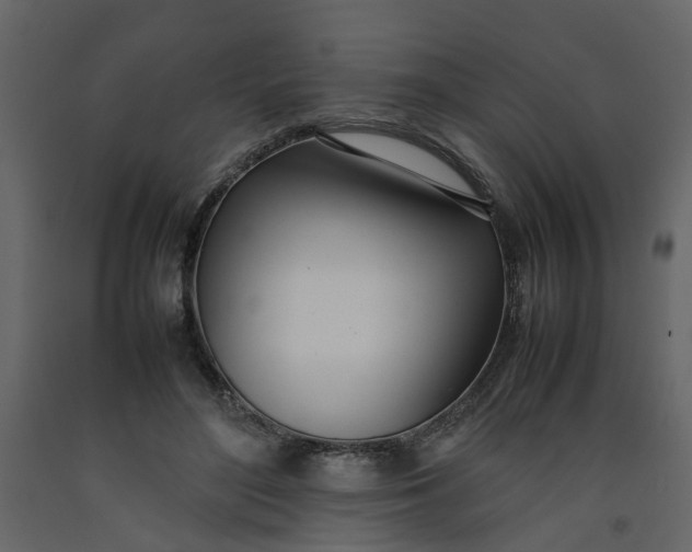 X0000092240500200710051241