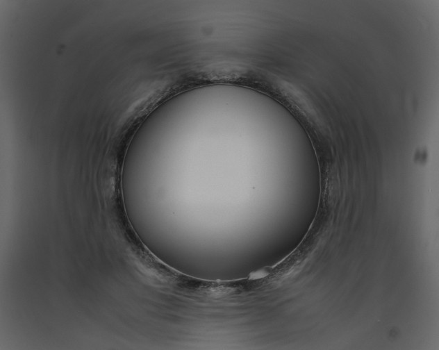 X0000092240501200710051241