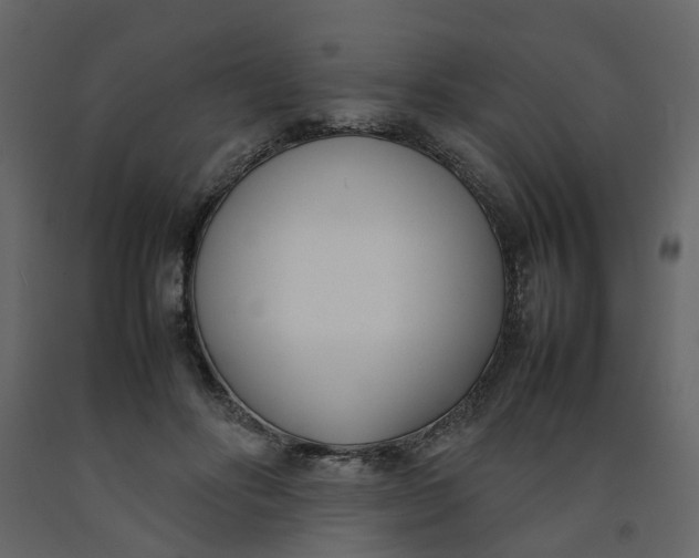 X0000092240502200710051241