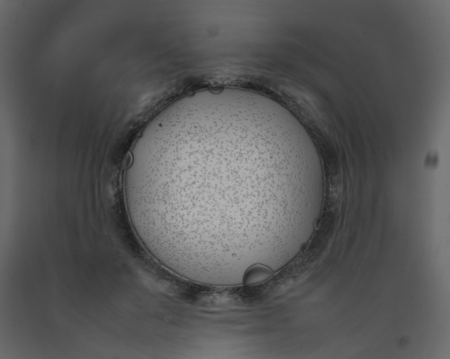 X0000092240503200710051241