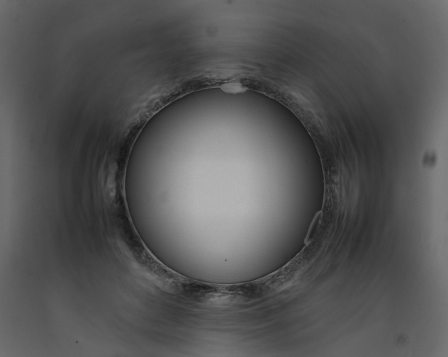 X0000092240504200710051241