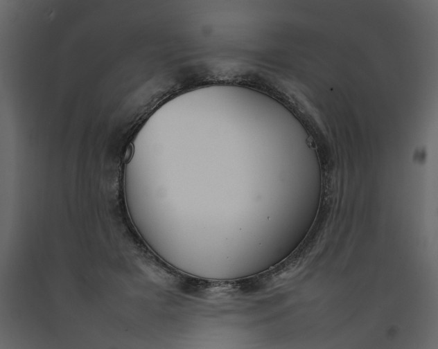 X0000092240505200710051241