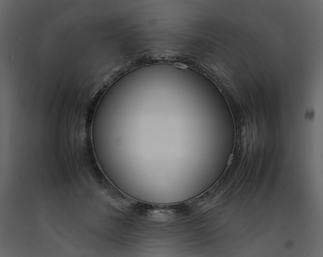 X0000092240508200710051241