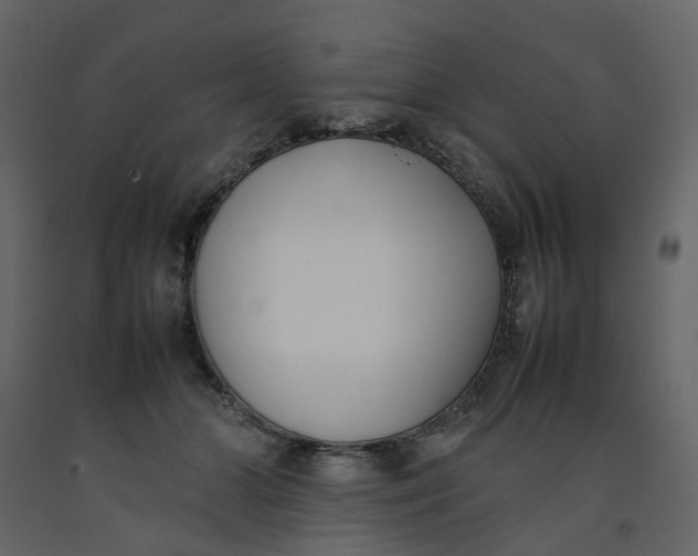 X0000092240510200710051241