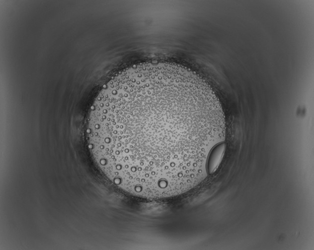 X0000092240511200710051241