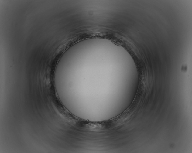 X0000092240512200710051241