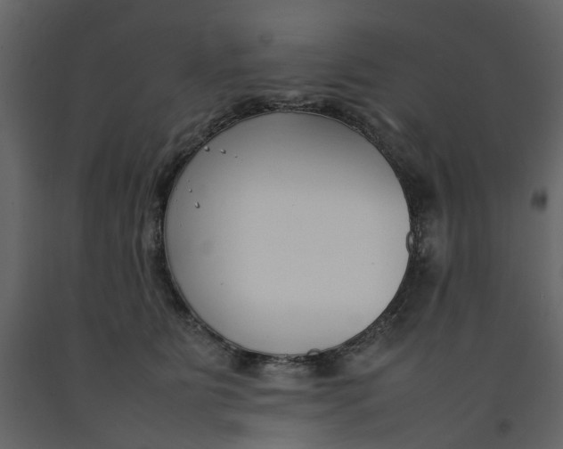 X0000092240515200710051241