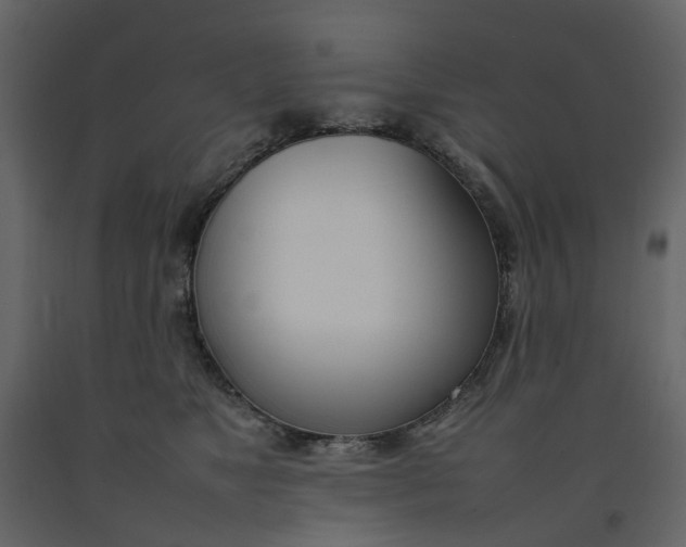 X0000092240517200710051241