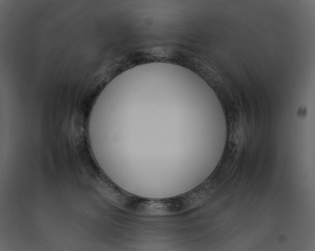 X0000092240518200710051241