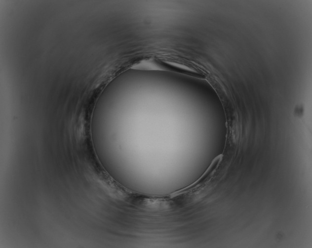 X0000092240520200710051241