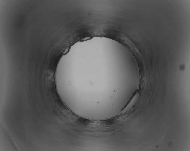 X0000092240521200710051241