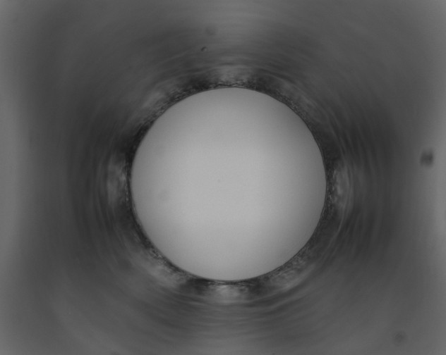 X0000092240522200710051241