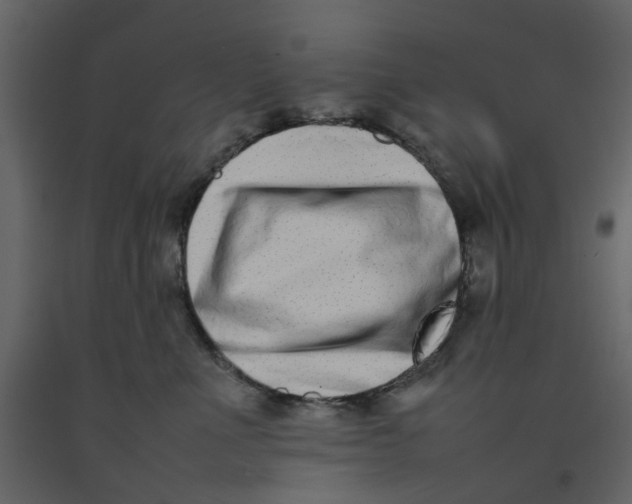 X0000092240523200710051241