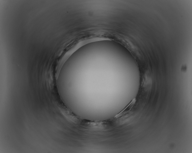 X0000092240524200710051241