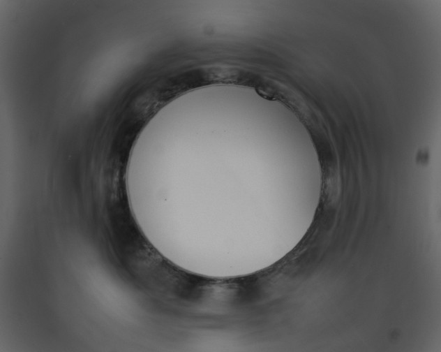 X0000092240525200710051241